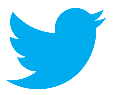 twitter logo